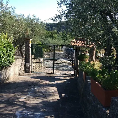 Holiday home La Vignara Vezzano Ligure